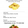Sadbové brambory 1